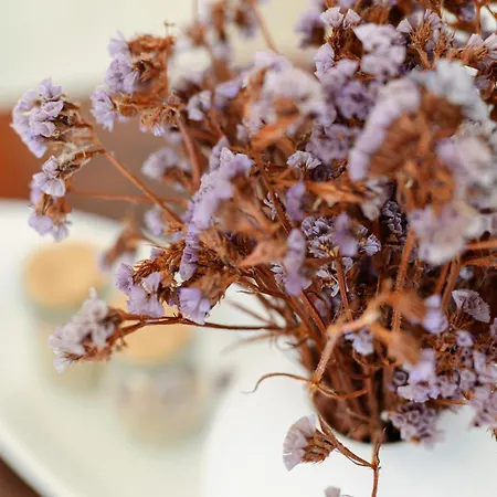 Naxos Kastraki Homey With Sea View Casa vacanze *