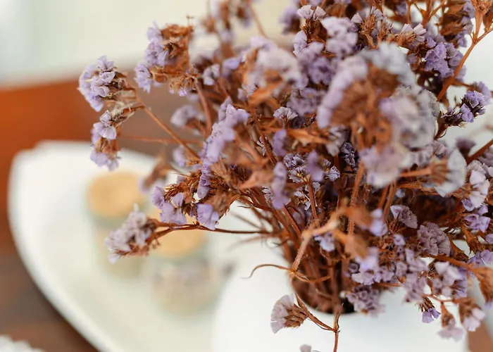 Naxos Kastraki Homey With Sea View Dom wakacyjny *